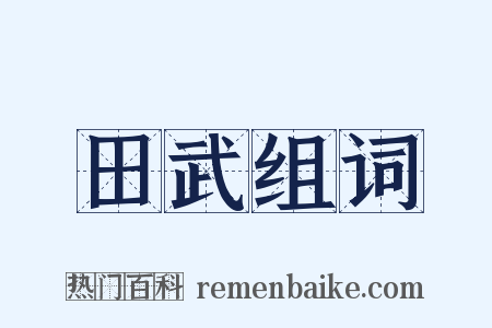 田武组词是什么意思的图片